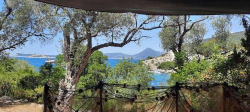 Lustica Apartment | Apartmani Roganovic