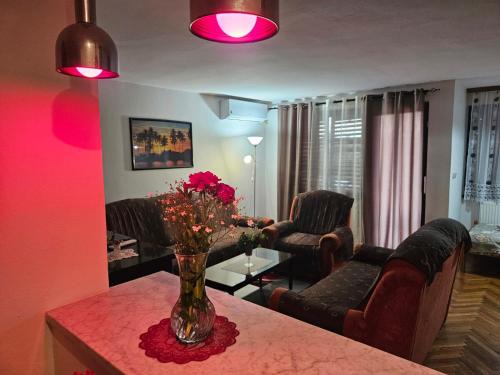 Bezdan Apartment | Apartmani, sobe Žiža