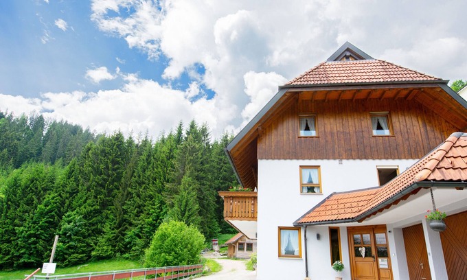 Schonach im Schwarzwald Apartment | Apartment 'Birgit' with Mountain View, Private Terrace and Wi-Fi