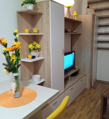 Bijeljina Apartment | Apartment ANA1
