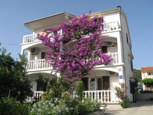 Barbat na Rabu Apartment | Apartment Barbat 17620c