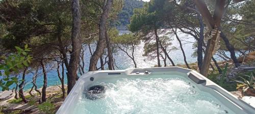 Zirje Apartment | Apartment by the sea Žirje with private heated hydromassage pool