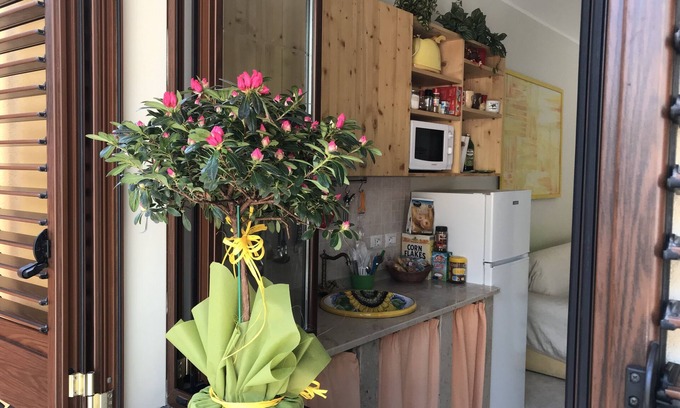 Stazzo Apartment | Apartment-close to Taormina, Etna, Catania, kitchen, parking, wifi,
