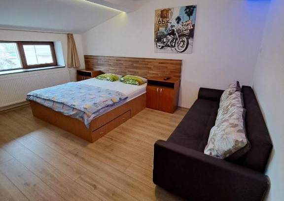 Timisoara Villa | Apartment Cozia