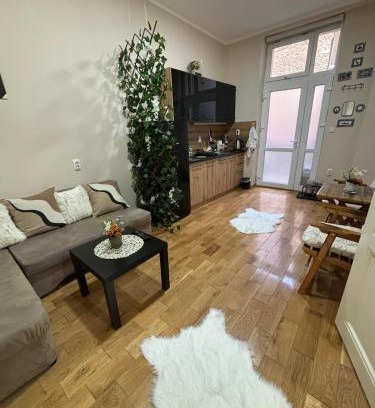 Terazije Apartment | Apartment Dana