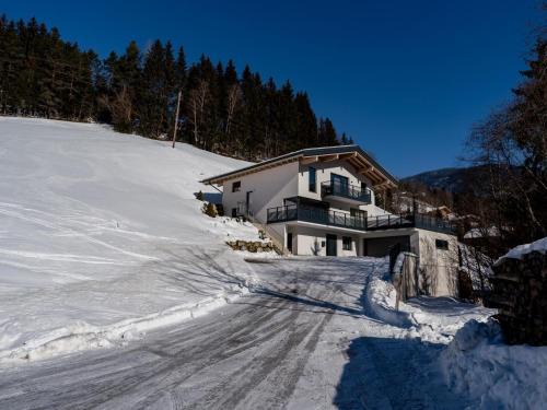 Viehhofen Apartment | Apartment Eder 302