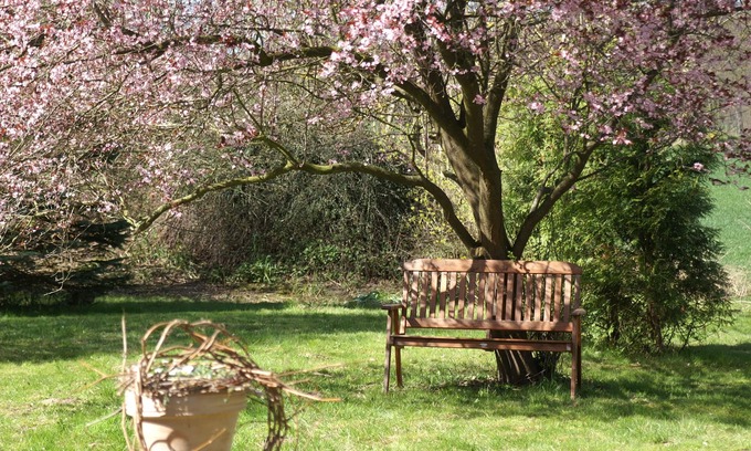 Putbus Apartment | Apartment for max. 5 people in nature and yet central garden and pool