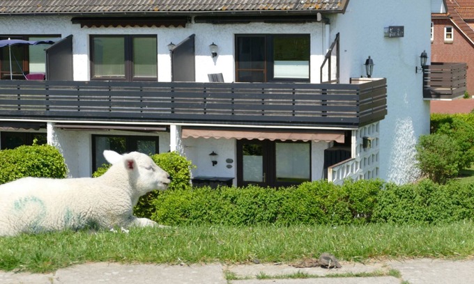 Suederhafen Apartment | Apartment 'Haus Lith Deichblick' with Sea View, Private Terrace and Wi-Fi