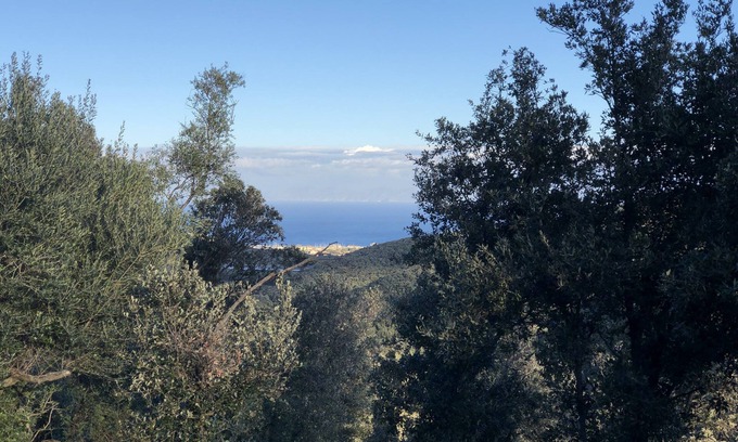 Rogliano Cottage | Apartment in the heart of nature with breathtaking views