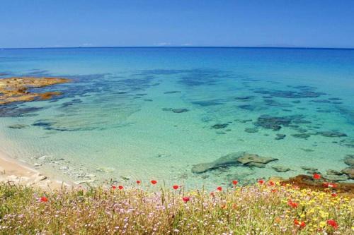 Valledoria Apartment | Apartment - La dolce vita - where dreams come true