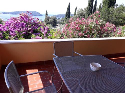 Molunat Apartment | Apartment Luna