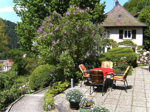 Triberg im Schwarzwald Apartment | Apartment Maier-1 by Interhome