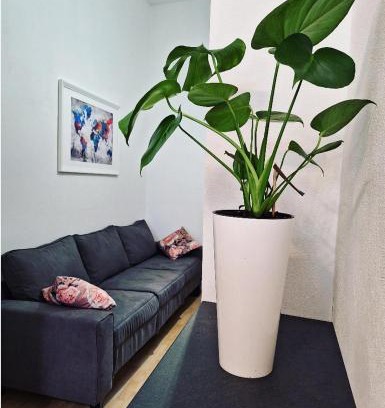Veruda Apartment | Apartment ORY 2 between the beach and city center