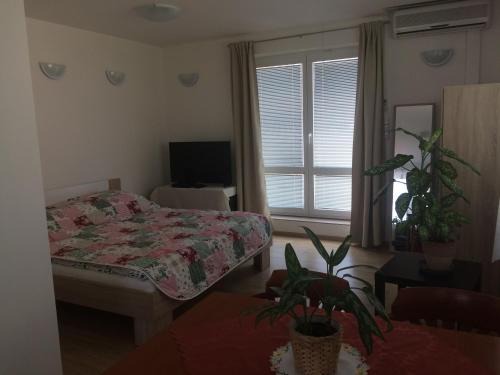 Hodkovicky Apartment | Apartment Praha 4