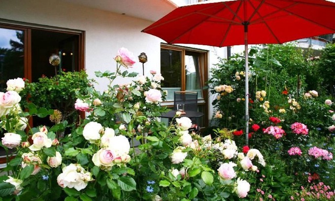 Staufen im Breisgau Apartment | APARTMENT ROSENGARTEN
