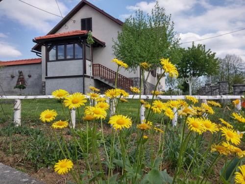Ogulin Apartment | Apartment Rašće