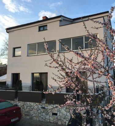 Porat Apartment | Apartment Ružmarin Porat
