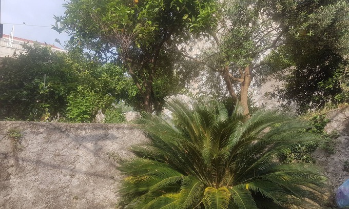 Cavtat Old Town Apartment | Apartment Saul