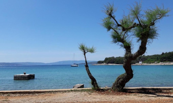 Punat Apartment | Apartment Summer Dream
