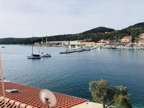 Island Dugi Otok Apartment | Apartment Svetka