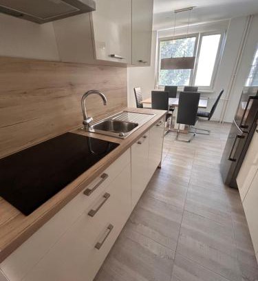 Velenje Apartment | Apartment Valis