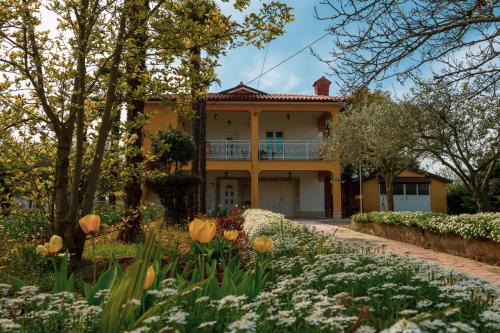 Zbandaj Apartment | Apartment Villa Olga