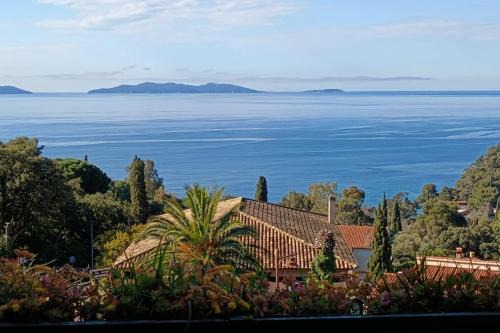 Le Rayol Apartment | Apartment with terraces in Rayol-Canadel-sur-Mer