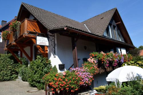 Braunlage Hotel | Apartmenthaus - Haus am Schultal,
