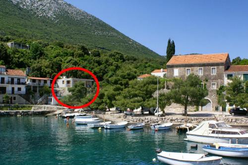 Crkvice Apartment | Apartments by the sea Cove Crkvice, Peljesac - 17667