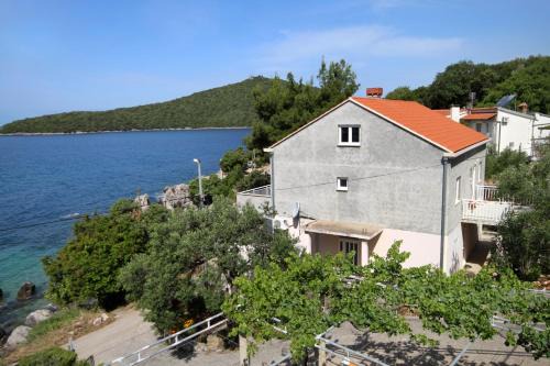 Molunat Apartment | Apartments by the sea Molunat, Dubrovnik - 8956