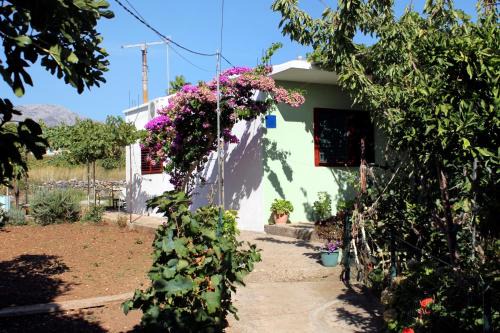 Sucuraj Apartment | Apartments by the sea Sucuraj, Hvar - 5671