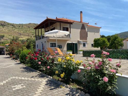 Petra Apartment | Apartments Fotoula