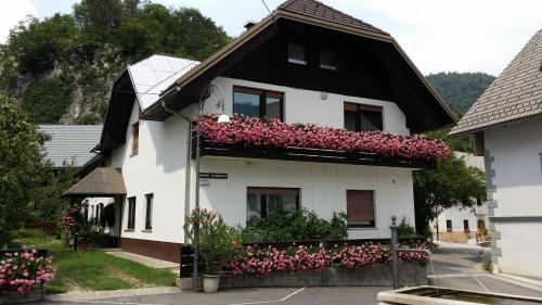 Bohinjska Bela Apartment | Apartments Gregorc