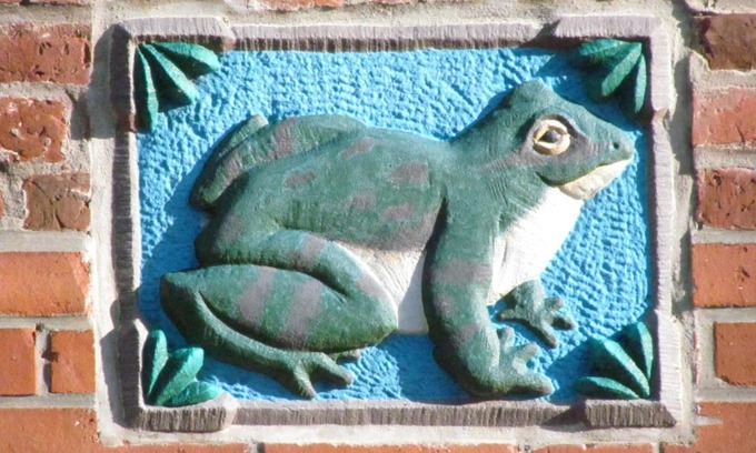 Friedrichstadt House | Apartments im Froschhaus mit Frühstücksküchen