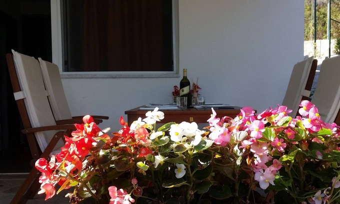 Drace Apartment | Apartments Jurica (51011-A1) - Drace