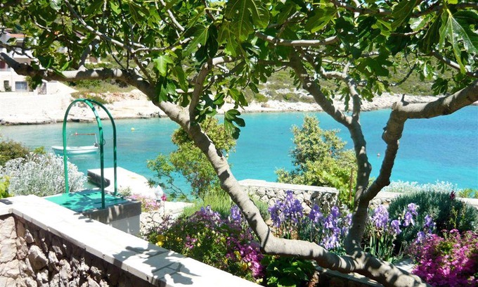 Dvornica Apartment | Apartments Nikola