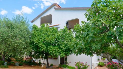 Valica Apartment | Apartments Susie
