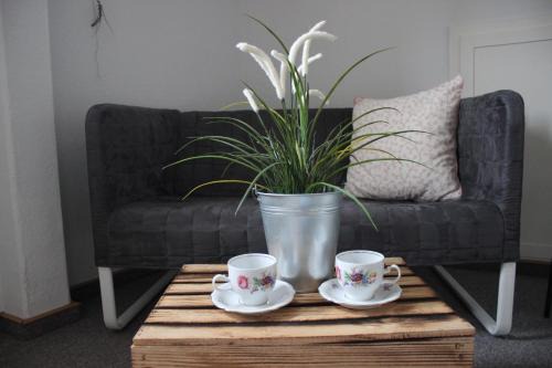 Schmilka House | Apartmentshaus Elbblick Zimmer "Bergblick"