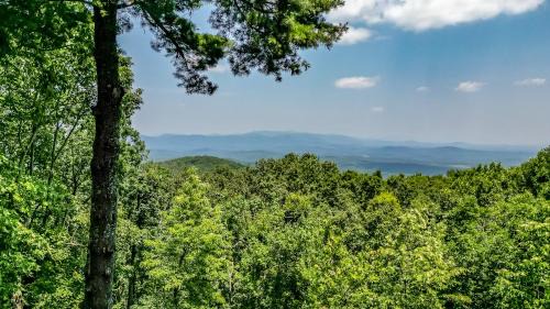 Big Canoe House | Appalachian Sky - Scenic Mountain View Cabin in Big Canoe