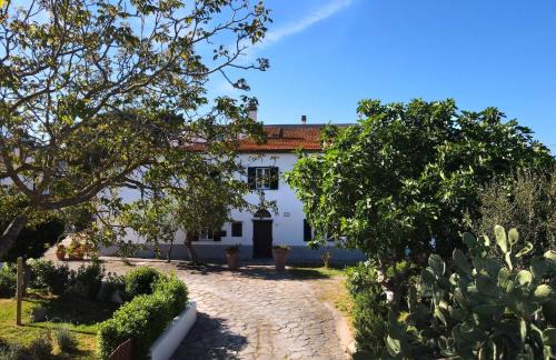 Castiglione della Pescaia Apartment | Appartamenti Podere San Sebastiano