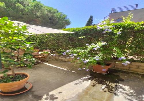 Punta Ala Apartment | Appartamenti Boboli