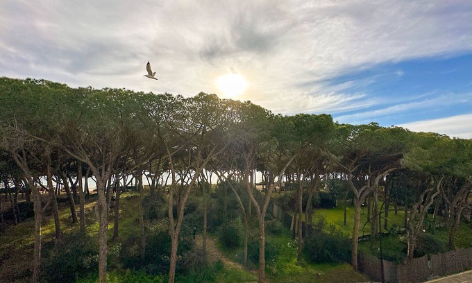 Follonica Apartment | Appartamento Follonica 87