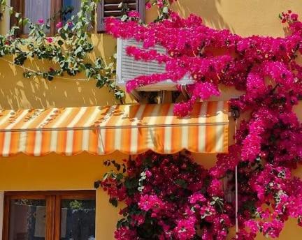 Monsummano Terme Apartment | Appartamento in the Heart of Tuscany