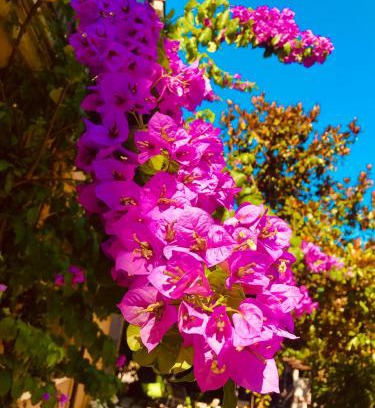 Riva del Garda House | Appartamento villatorretta24