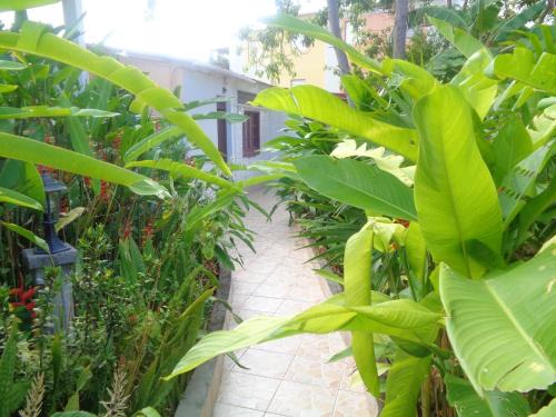 Port-Louis Apartment | Appartement charmant à Port-Louis avec jardin clôturé