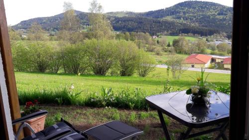 Bodenmais Apartment | Appartement-Harlachberg-Blick-2