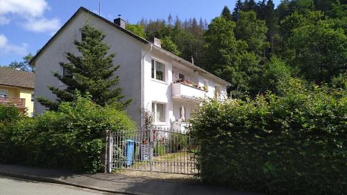 Bad Sachsa Apartment | Appartement In Steina Mit Terrasse