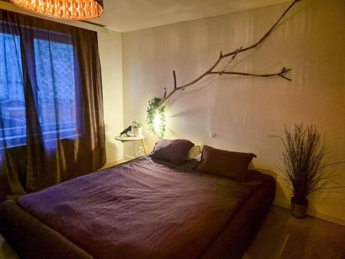 Kunstenkwartier Apartment | Appartement met groot terras