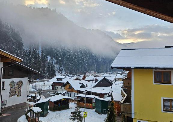 Viehhofen Apartment | Appartement Pension Embacher