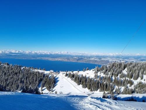 Thollon-les-Memises Apartment | Appartement typique de montagne